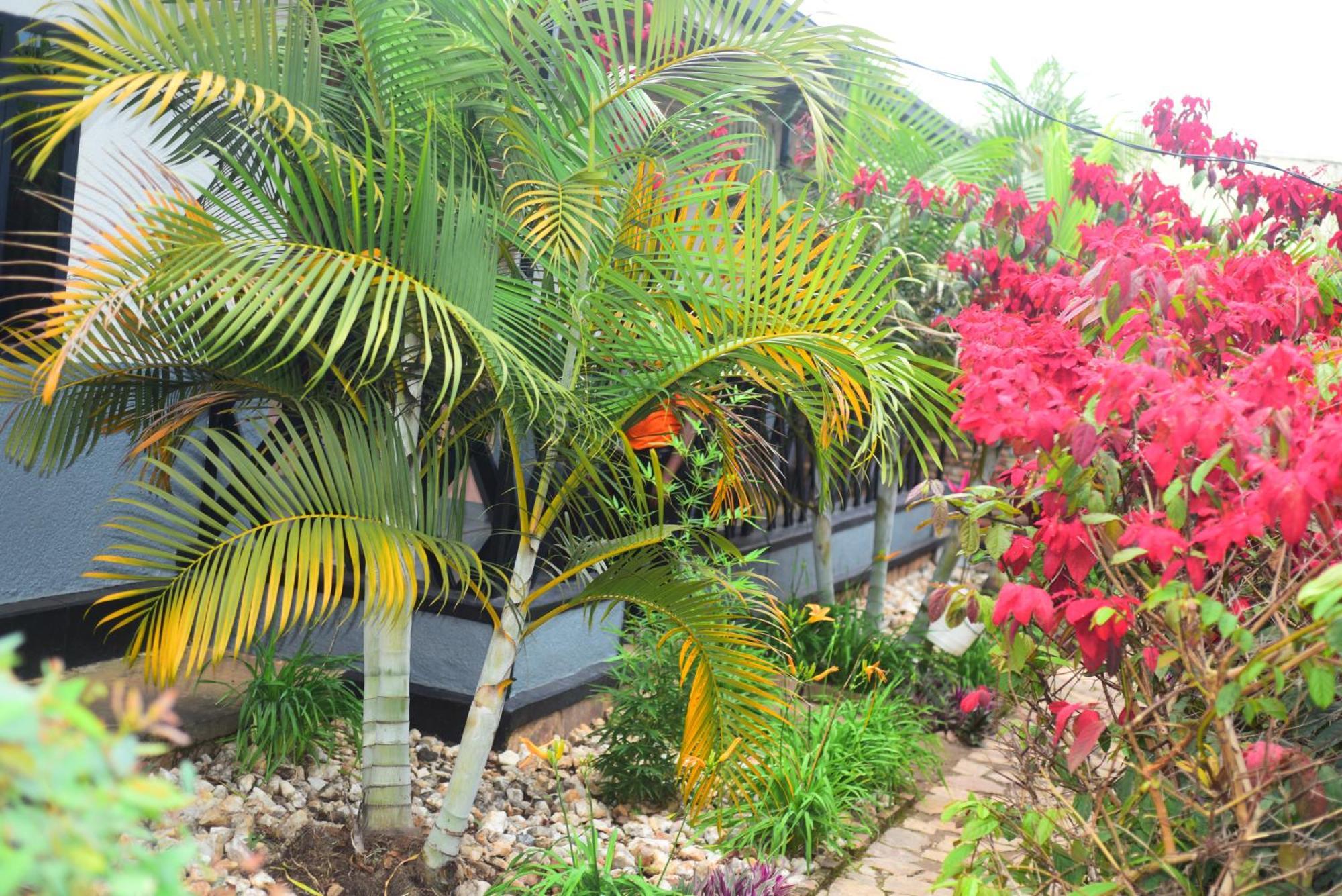 Bed and Breakfast Akagera Neighbors Kabarondo Екстер'єр фото